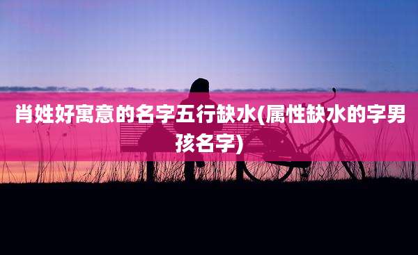 肖姓好寓意的名字五行缺水(属性缺水的字男孩名字)