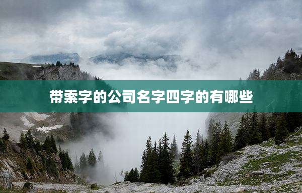 带索字的公司名字四字的有哪些