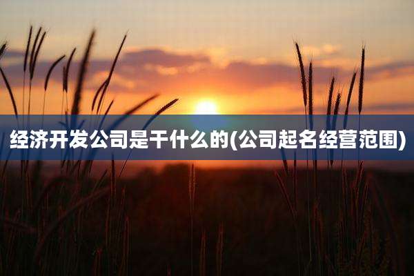 经济开发公司是干什么的(公司起名经营范围)