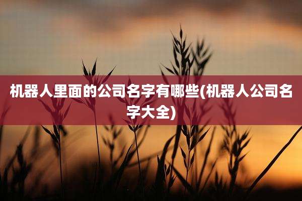 机器人里面的公司名字有哪些(机器人公司名字大全)