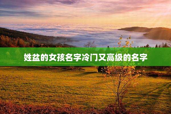姓盆的女孩名字冷门又高级的名字