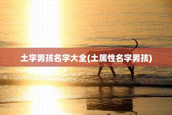 土字男孩名字大全(土属性名字男孩)