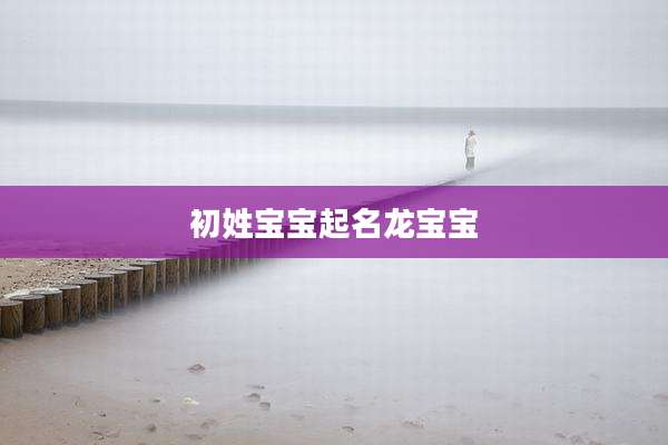 初姓宝宝起名龙宝宝