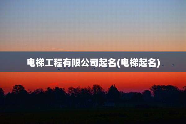 电梯工程有限公司起名(电梯起名)