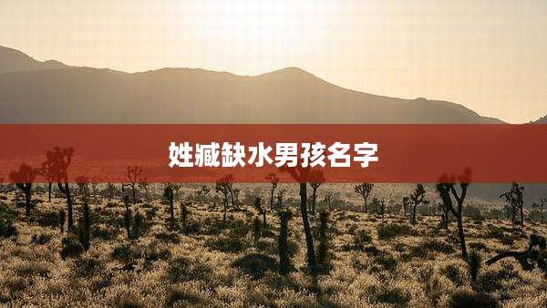 姓臧缺水男孩名字