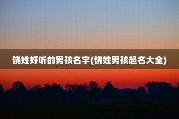 饶姓好听的男孩名字(饶姓男孩起名大全)