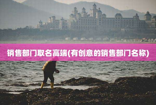 销售部门取名高端(有创意的销售部门名称)