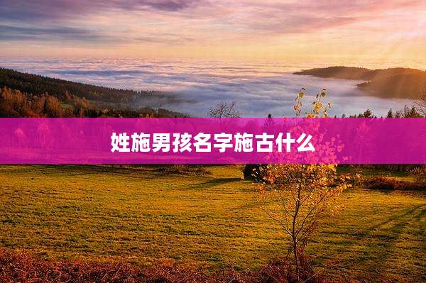 姓施男孩名字施古什么