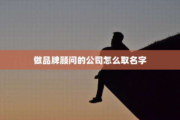 做品牌顾问的公司怎么取名字