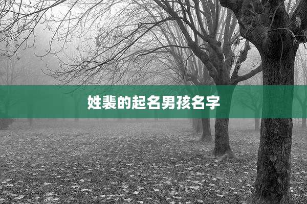 姓裴的起名男孩名字