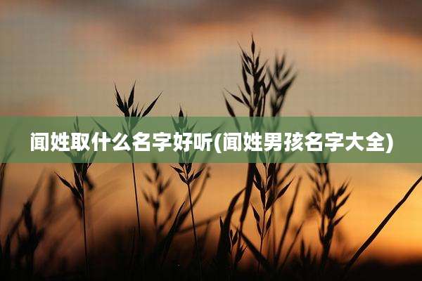 闻姓取什么名字好听(闻姓男孩名字大全)