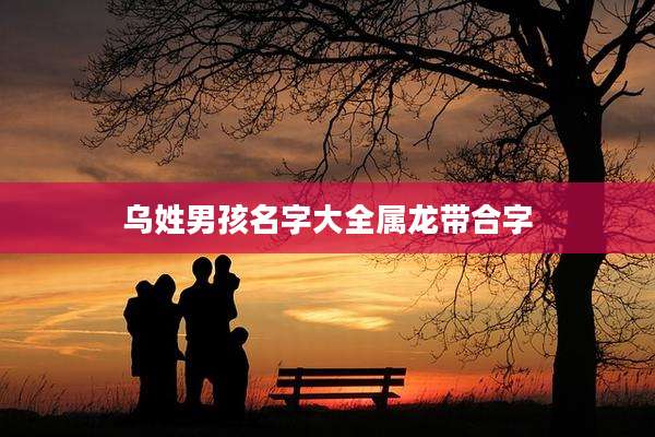 乌姓男孩名字大全属龙带合字