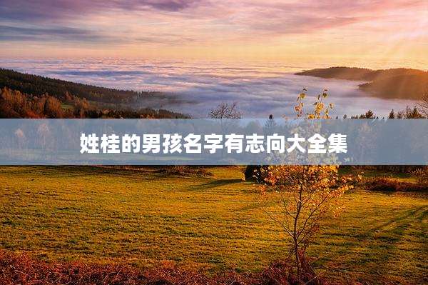 姓桂的男孩名字有志向大全集