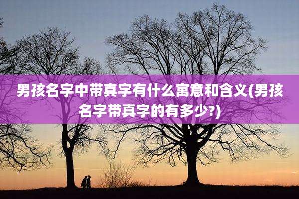 男孩名字中带真字有什么寓意和含义(男孩名字带真字的有多少?)