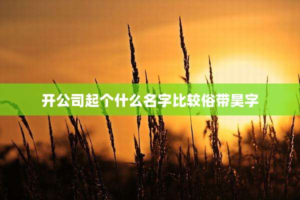 开公司起个什么名字比较俗带昊字
