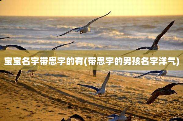宝宝名字带思字的有(带思字的男孩名字洋气)