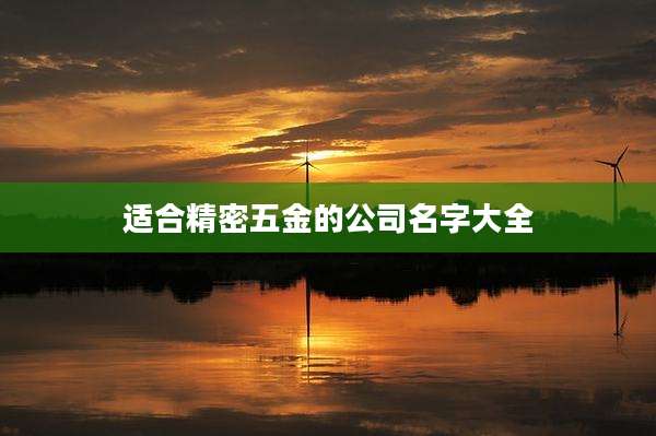 适合精密五金的公司名字大全