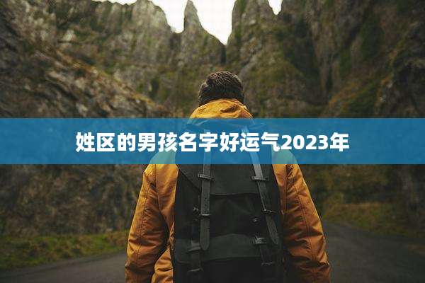 姓区的男孩名字好运气2023年