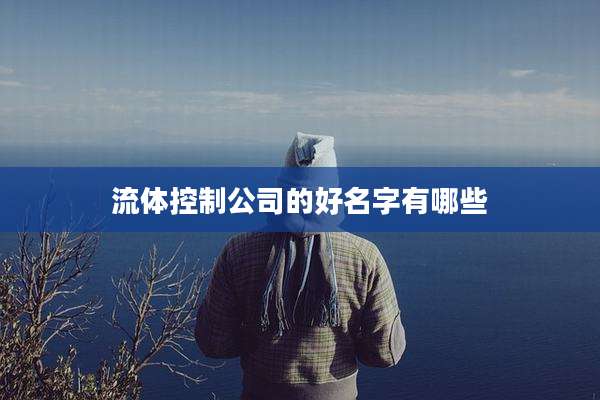 流体控制公司的好名字有哪些