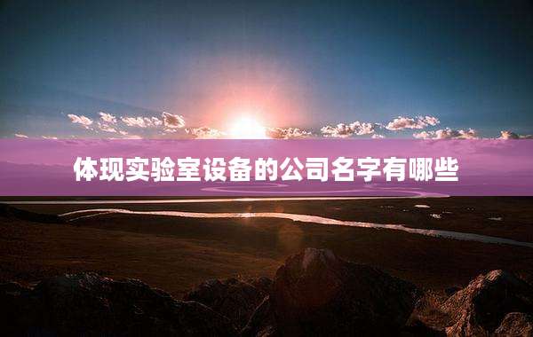 体现实验室设备的公司名字有哪些