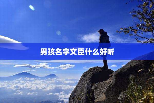 男孩名字文臣什么好听
