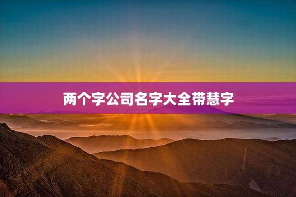 两个字公司名字大全带慧字