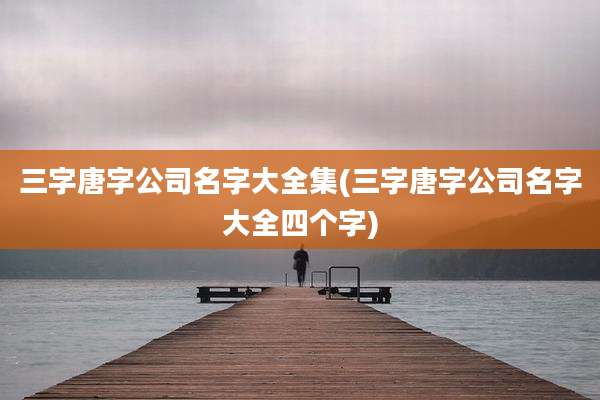 三字唐字公司名字大全集(三字唐字公司名字大全四个字)