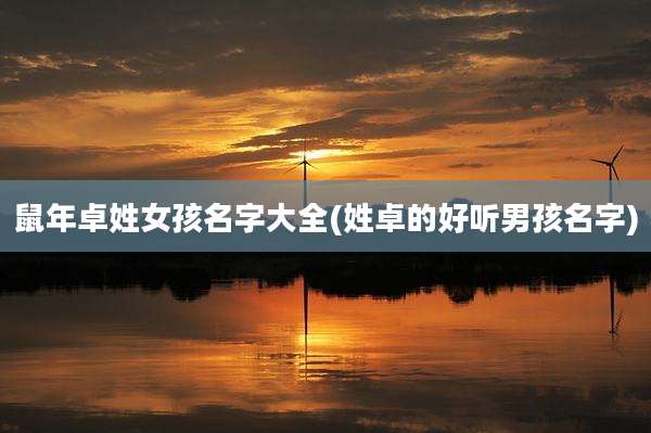 鼠年卓姓女孩名字大全(姓卓的好听男孩名字)