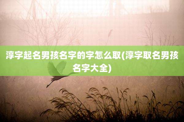 淳字起名男孩名字的字怎么取(淳字取名男孩名字大全)