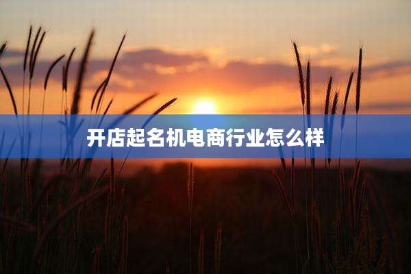 开店起名机电商行业怎么样