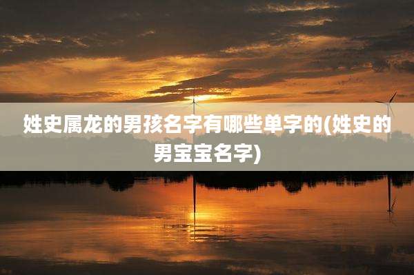 姓史属龙的男孩名字有哪些单字的(姓史的男宝宝名字)