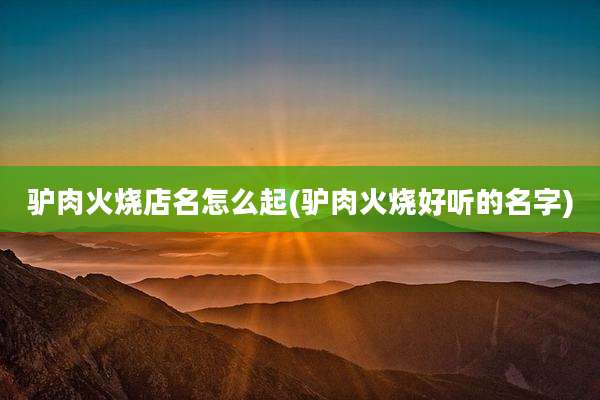 驴肉火烧店名怎么起(驴肉火烧好听的名字)