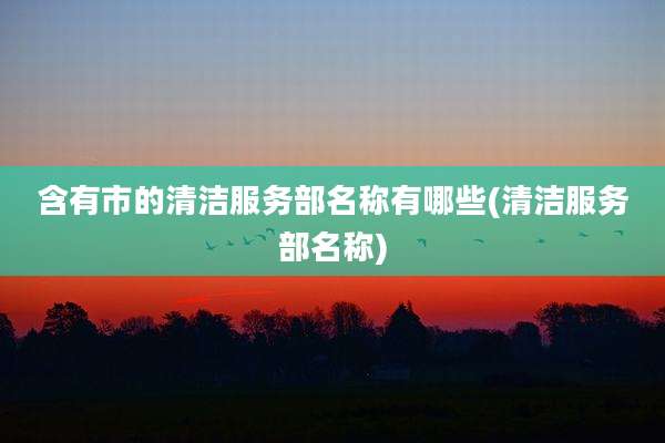 含有市的清洁服务部名称有哪些(清洁服务部名称)