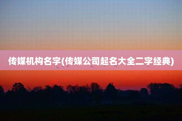 传媒机构名字(传媒公司起名大全二字经典)