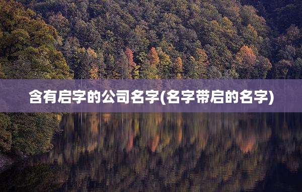 含有启字的公司名字(名字带启的名字)