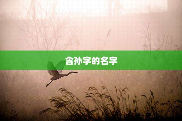 含孙字的名字