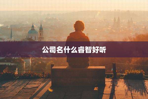 公司名什么睿智好听