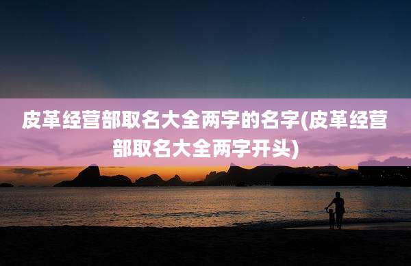 皮革经营部取名大全两字的名字(皮革经营部取名大全两字开头)