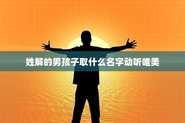 姓解的男孩子取什么名字动听唯美