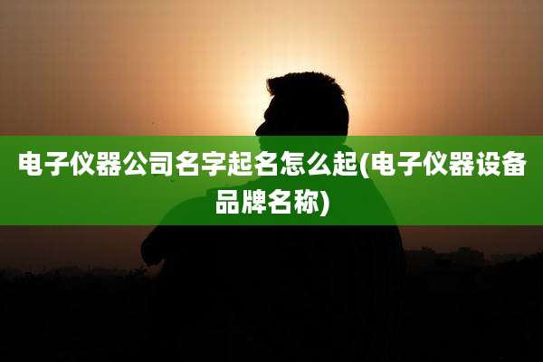 电子仪器公司名字起名怎么起(电子仪器设备品牌名称)