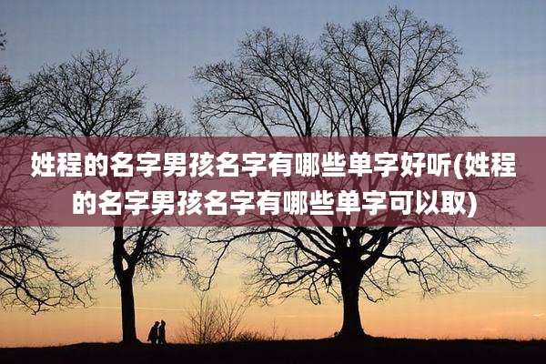 姓程的名字男孩名字有哪些单字好听(姓程的名字男孩名字有哪些单字可以取)