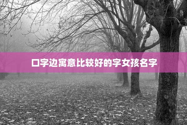 口字边寓意比较好的字女孩名字
