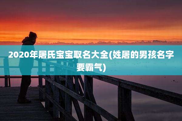 2020年屠氏宝宝取名大全(姓屠的男孩名字要霸气)