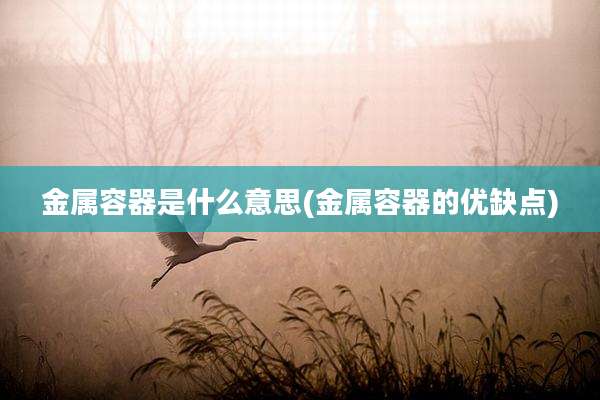 金属容器是什么意思(金属容器的优缺点)
