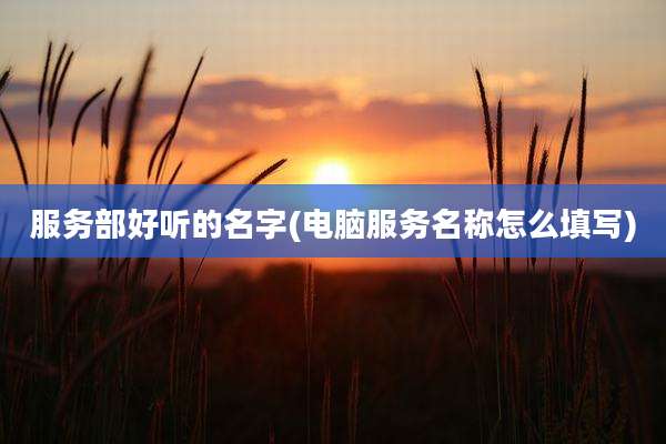 服务部好听的名字(电脑服务名称怎么填写)
