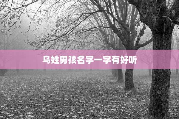 乌姓男孩名字一字有好听