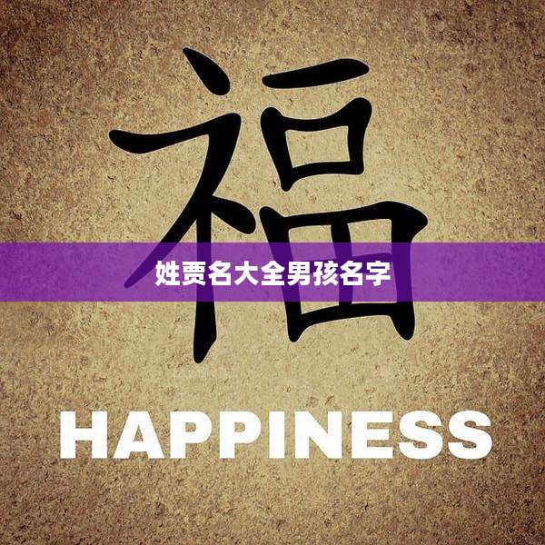 姓贾名大全男孩名字