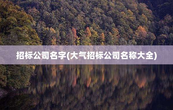 招标公司名字(大气招标公司名称大全)
