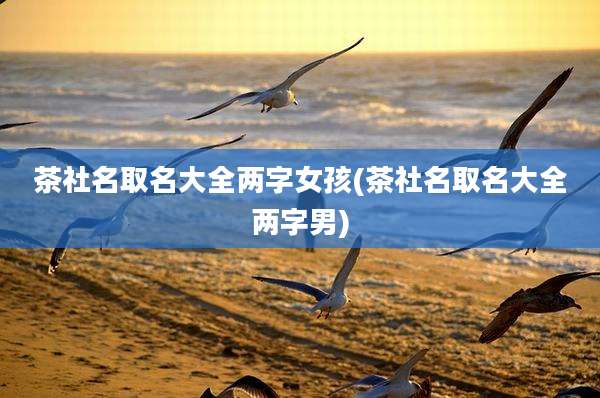 茶社名取名大全两字女孩(茶社名取名大全两字男)