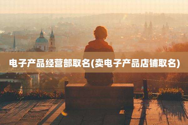 电子产品经营部取名(卖电子产品店铺取名)